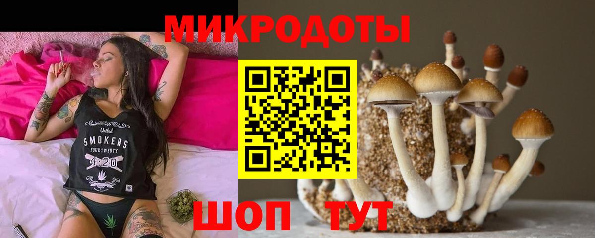 продажа наркотиков  Вход с VPN  Галлюциногенные грибы прущие грибы  Еманжелинск  Галлюциногенные грибы Magic Shrooms 